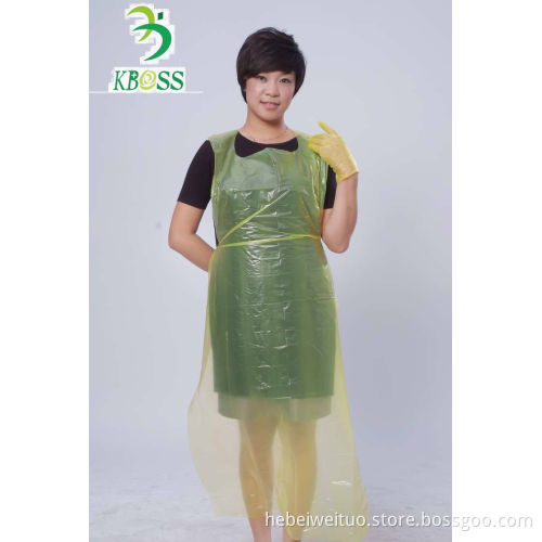 Disposable Apron